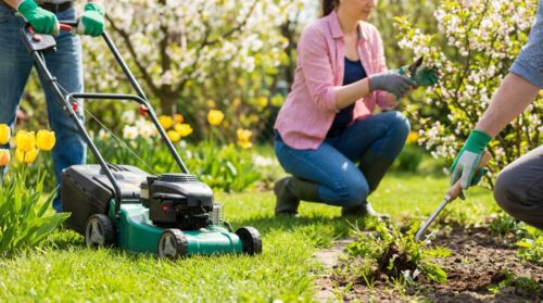 Rasenpflege, Schnittarbeiten und Unkrautentfernung: Frühlingserlebnis für Gartenfreunde